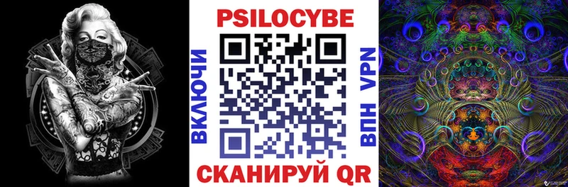 закладка  Артёмовск  Псилоцибиновые грибы Psilocybe 